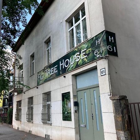 Fig Tree House Apartment Budapest Luaran gambar